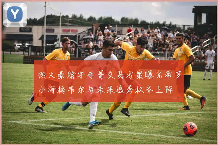 热火豪赌字母哥交易方案曝光希罗小海梅韦尔与未来选秀权齐上阵