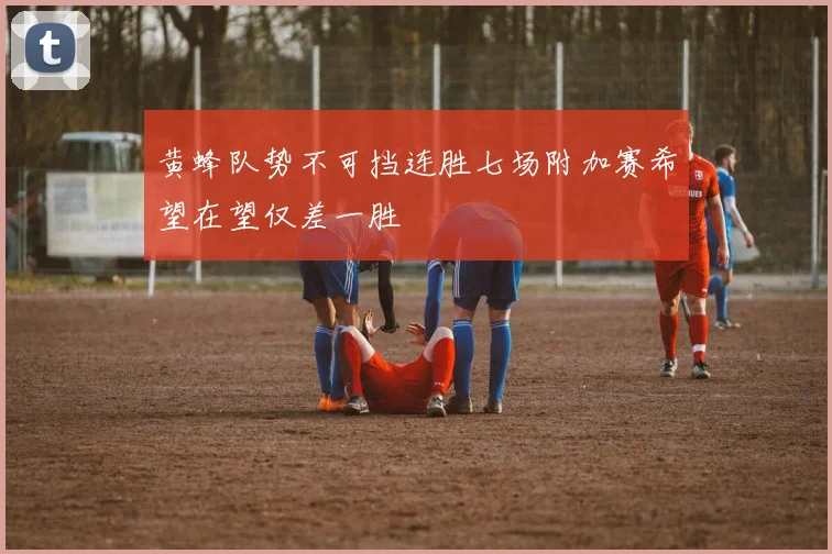 黄蜂队势不可挡连胜七场附加赛希望在望仅差一胜